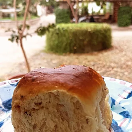 Bed & Breakfast O'serbante