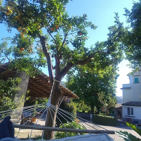 Bed & Breakfast O'serbante Sant'Agnello